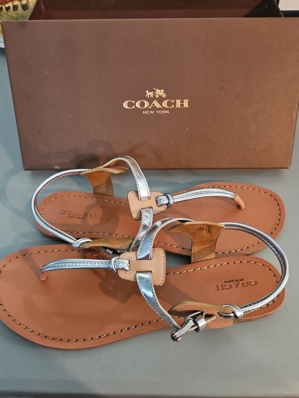 NIB Coach Clarkson Silver Natural Metallic T-Strap Flat Sandals Size 9.5 M NEW